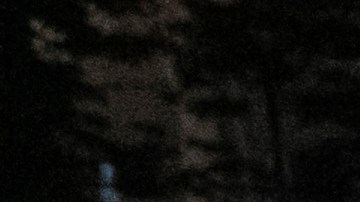 Luego de los hechos miles de fanáticos se reunieron a pedir justicia y rezar por los fallecidos.