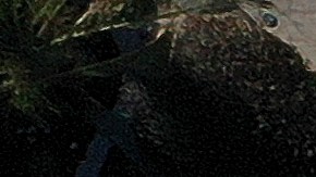 Florida's Southern Gulf Coast Continues Clean Up Efforts In Wake Of Hurricane Ian