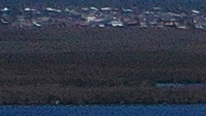 Florida recupera la electricidad tras el paso de Ian