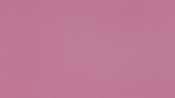 Las redes sociales criticaron la rudeza con la que el seguridad derribó al pequeño fanático.