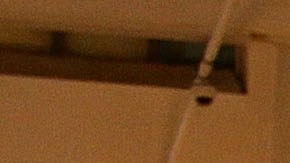 Wanda Nara y Maxi López