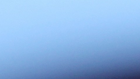 Donald Trump Joe Biden Migrates inmigración