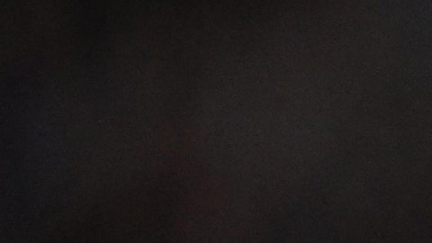 Chucky Lozano marcó su primer con en la presente edición de la UEFA Champions League, madrugando al Ajax de Ámsterdam.
