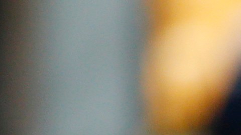 Tom Brady afirmó sentirse bastante comprometido con su equipo.