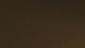 Max Verstappen y Checo Pérez participaron en el popular reto de redes sociales.