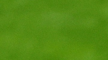 Bryce Harper (C) celebra con sus compañeros el avance hacia la Serie Mundial de MLB.