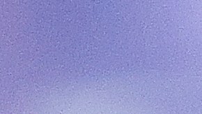 El hecho ocurrió en un partido de básquet de la universidad de Kentucky.