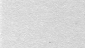 Retrato de Michel De Nostradamus.