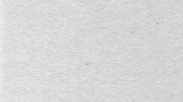 Retrato de Michel De Nostradamus.