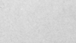 Elvis y Priscilla Presley se casaron en mayo de 1967.