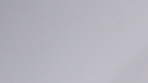 Rhea Durham y Mark Wahlberg buscan una mejor vida para sus cuatro hijos.