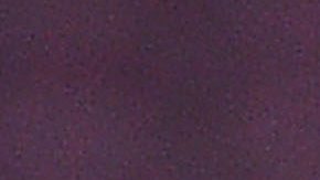 Gerard Piqué y Shakira