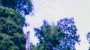 Colombia sigue siendo por lejos el mayor productor mundial de cocaína.