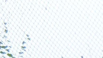 JAMAICA-CARIBBEAN-WEATHER-HURRICANE