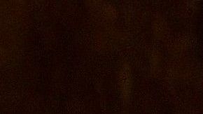 Este clan de neandertales vivía en la cima de un acantilado rocoso.