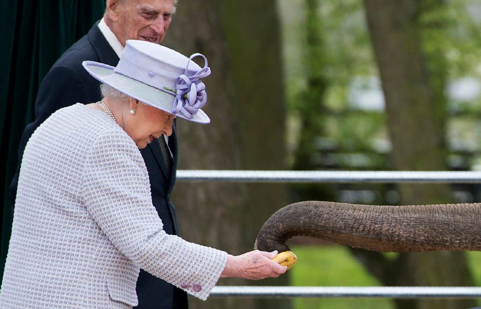 British zoo names baby elephant in honor of Queen Elizabeth II