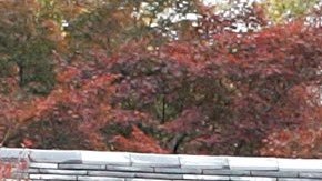 El templo Tofukuji alberga un baño que data del siglo XV.