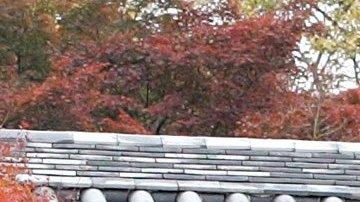 El templo Tofukuji alberga un baño que data del siglo XV.