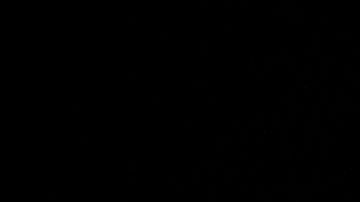 Este es el modelo drone-kamikaze de producción iraní "Shahed-136".