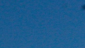 El horrible accidente se registró en el Royal Melbourne Show.