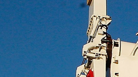 El horrible accidente se registró en el Royal Melbourne Show.