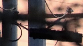 Austin, Texas Terrorized By Series Of Package Bombs