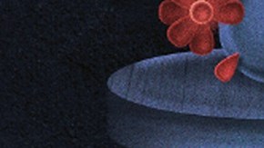 Ghost Pepper Burger King