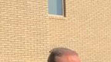 Massachussetts Abejas