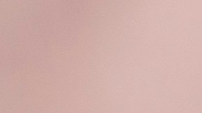 El próximo año Nexaca cumplirá 100 años de su fundación, por lo que el club estaría armando un proyecto ganador para conmemorar la especial fecha.