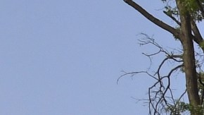 El nuevo plan de usos de cámaras busca hacer más eficiente el servicio de buses en la ciudad.