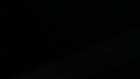 Mascotas de la NBA ganan más que las estrellas de la WNBA