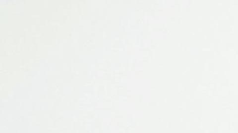 Michael E. Velazquez