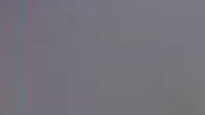 Mike Sheppard Texas inmigrantes