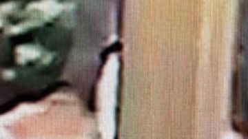 La sospechosa apareció en CCTV entrando al edificio donde luego fue filmada con la niña caminando detrás de ella.