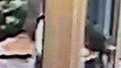 La sospechosa apareció en CCTV entrando al edificio donde luego fue filmada con la niña caminando detrás de ella.