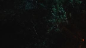 Corey Stacey Canty de 44 años fue arrestado en Detroit.