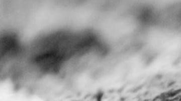 El indefenso gato era lanzado una y otra vez al mar.