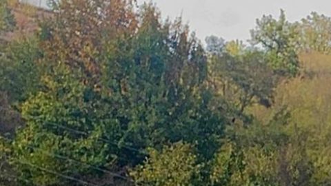 Arsen y Tigran compartieron sus últimos momentos de vida en Instagram.