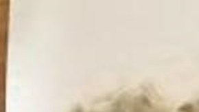 Vermont Nueva York Apuñalamiento Asesinato Homicidio