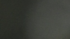 Scaloni: "A Messi lo tratamos como lo que es: un superclase"