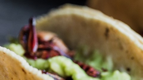 Tacos de chapulines