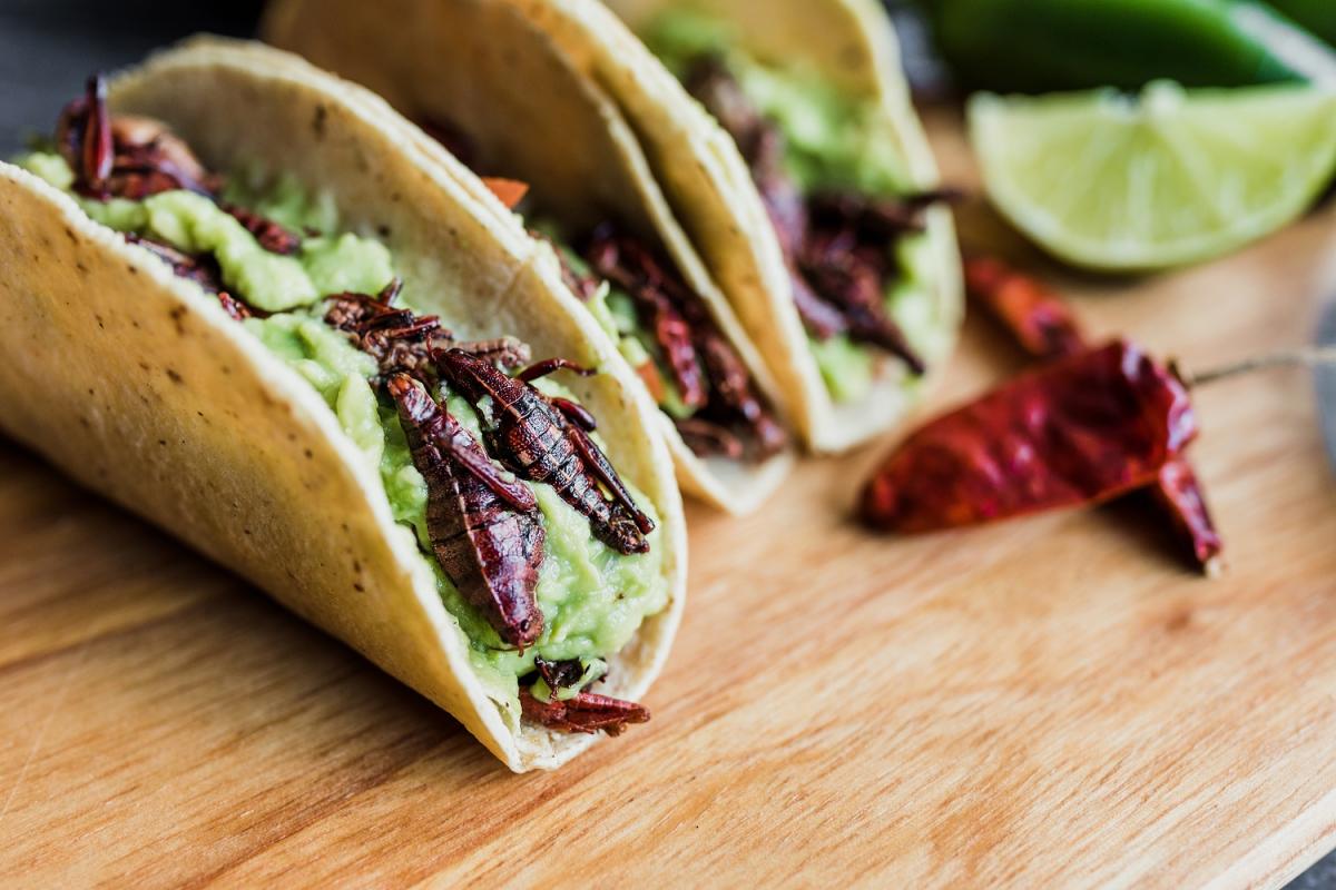 10 recetas para celebrar el Día Nacional del Taco todos los días - El Diario NY 10 recetas para celebrar el Día Nacional del Taco todos los días - El Diario NY