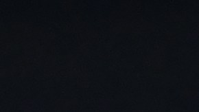 Manchester United quiere al ex New York Red Bulls Tyler Adams