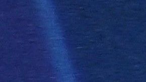 Xavi reveló que el Barcelona quiso presentar una queja ante la UEFA por lo ocurrido en la Champions contra el Inter