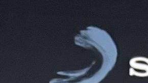 El cantante colombiano Juanes.