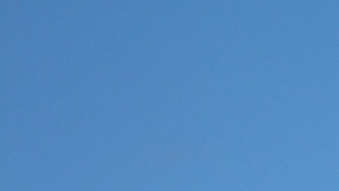 Viktoria Ljungman murió al estrellarse en una avioneta.