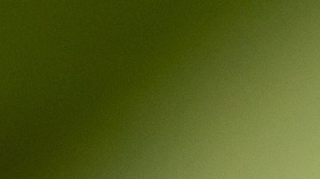 Alexander Wayne fue atacado por un cocodrilo.