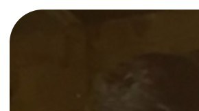 Familia Cirigliano desaparecida en Michigan