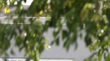 Allanamiento FBI Pierluisi