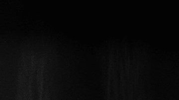 Gato negro mala suerte